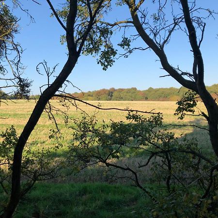 Old Hunters Lodge Whipsnade Limited Ngoại thất bức ảnh